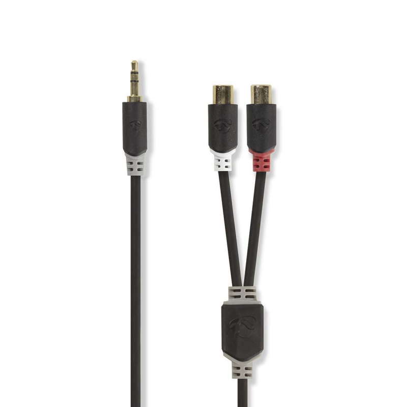CABW22250AT02 Stereo-Audiokabel | 3.5 mm Stecker | 2x Cinch Buch