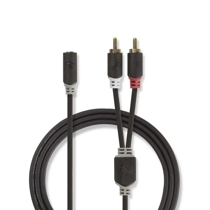 CABW22255AT02 Stereo-Audiokabel | 2x RCA Stecker | 3.5 mm Buchse