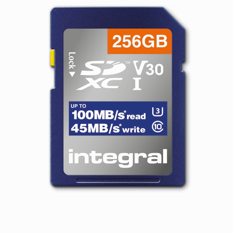 INSDX256G1V30 High Speed SDHC/XC V30 UHS-I U3 256GB SD memory ca