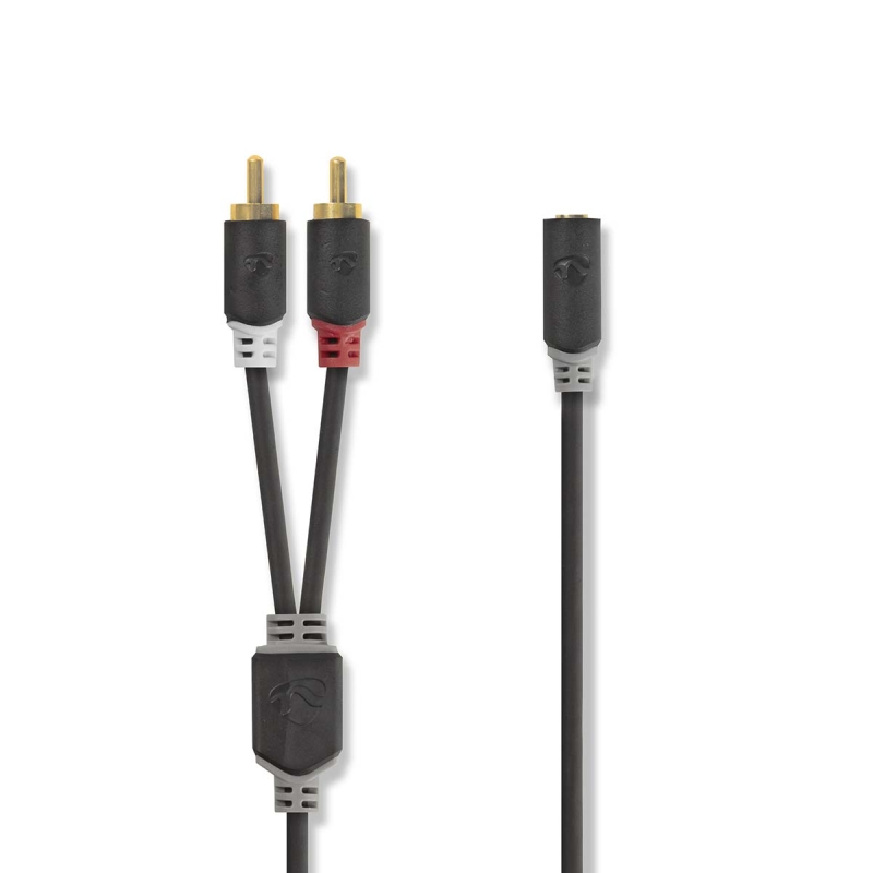CABW22255AT10 Stereo-Audiokabel | 2x RCA Stecker | 3.5 mm Buchse