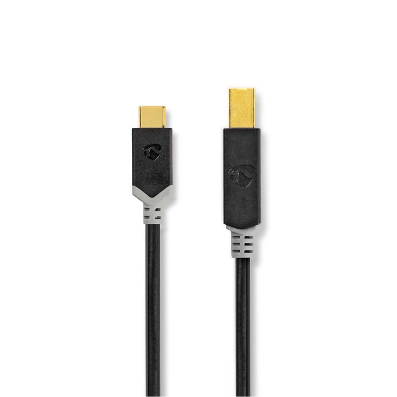CCBW60651AT20 USB-Kabel | USB 2.0 | USB-C? Stecker | USB-B Steck