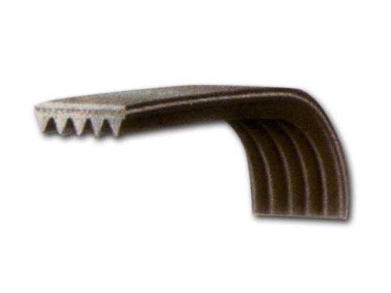 Riemen 1185H8EL