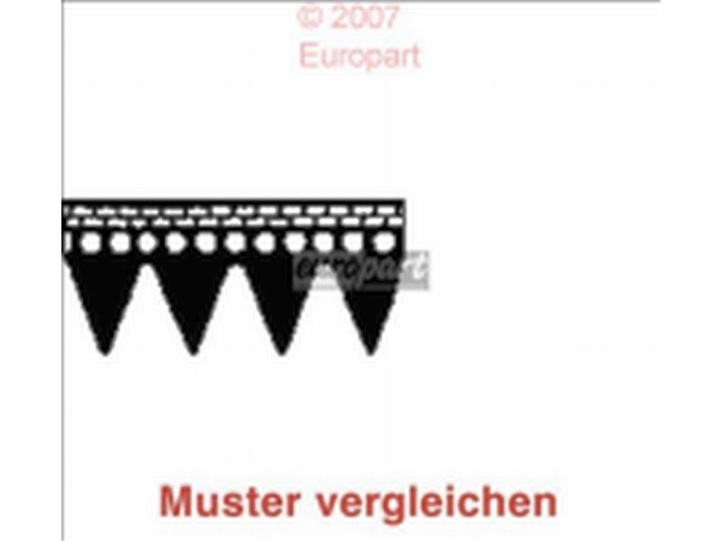 Riemen 1992 PJ 4