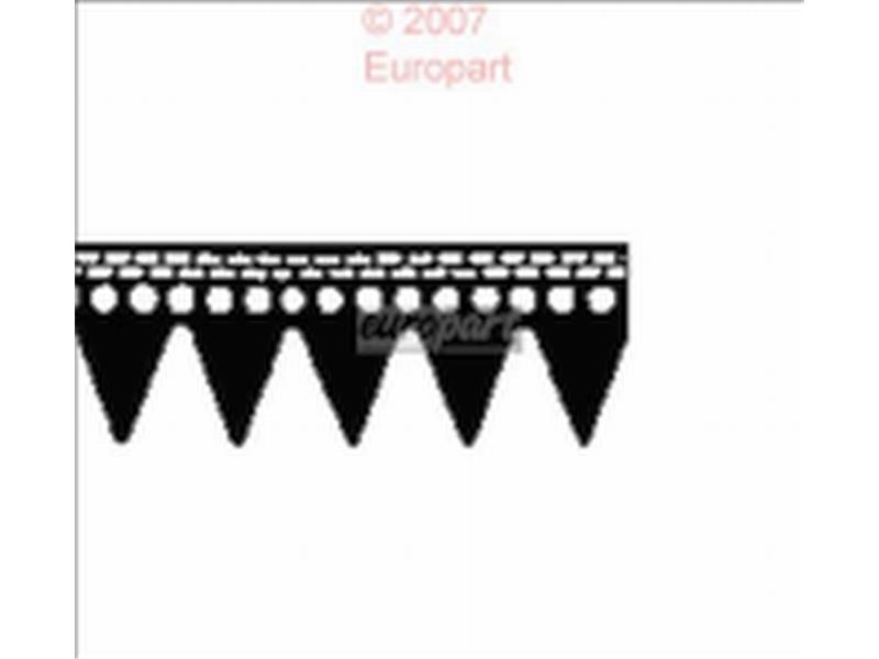 Riemen 1308 PJ 5